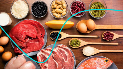 🥩🫘 El Consumo adecuado de proteínas en adultos: ¿Qué debes saber sobre las proteínas animales y vegetarianas?
