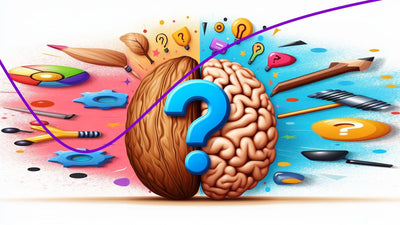🧠 ¿Sirven los cerebritos para el cerebro? Descubre la nuez del nogal