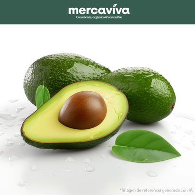 Aguacate Lorena-Vegetales-Merkfrutos-x 1000 gr-Verde (listo en 3 a 5 días)-Eatsy Market