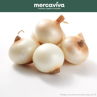 Cebolla Blanca-Vegetales-Merkfrutos-x 500 gr-Eatsy Market