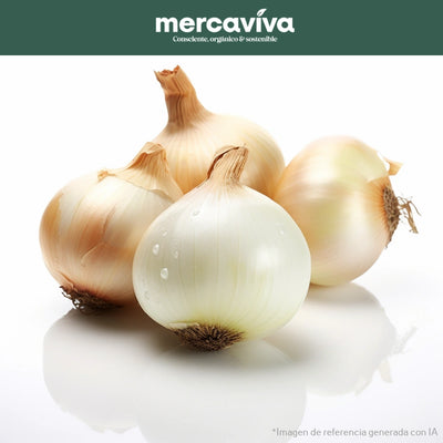 Cebolla Blanca-Vegetales-Merkfrutos-x 500 gr-Eatsy Market