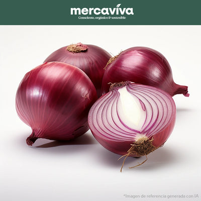 Cebolla Roja-Vegetales-Merkfrutos-x 500 gr-Eatsy Market