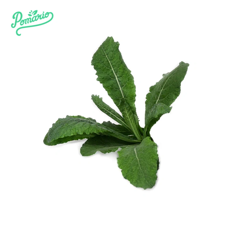 Kale Toscano x 250 gr-Vegetales-Pomario-Eatsy Market