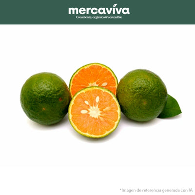 Limón Mandarino-Frutas-Merkfrutos-x 500 gr-Eatsy Market