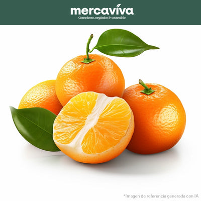 Mandarina Oneco-Frutas-Merkfrutos-x 500 gr-Eatsy Market