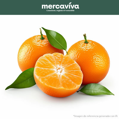 Mandarina Oneco-Frutas-Merkfrutos-x 500 gr-Eatsy Market
