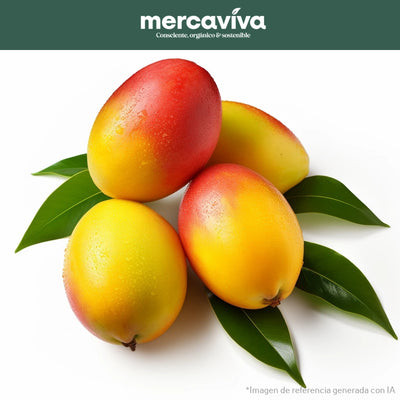 Mango Tommy Pintón-Frutas-Merkfrutos-x 1000 gr-Eatsy Market