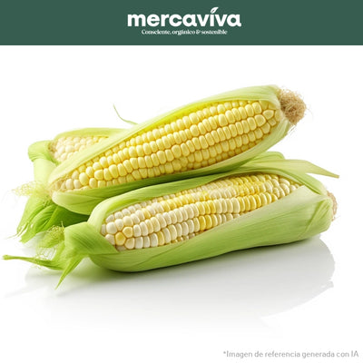 Mazorca Chócolo Blanco x 1 und-Vegetales-Merkfrutos-x und (400 gr)-Eatsy Market