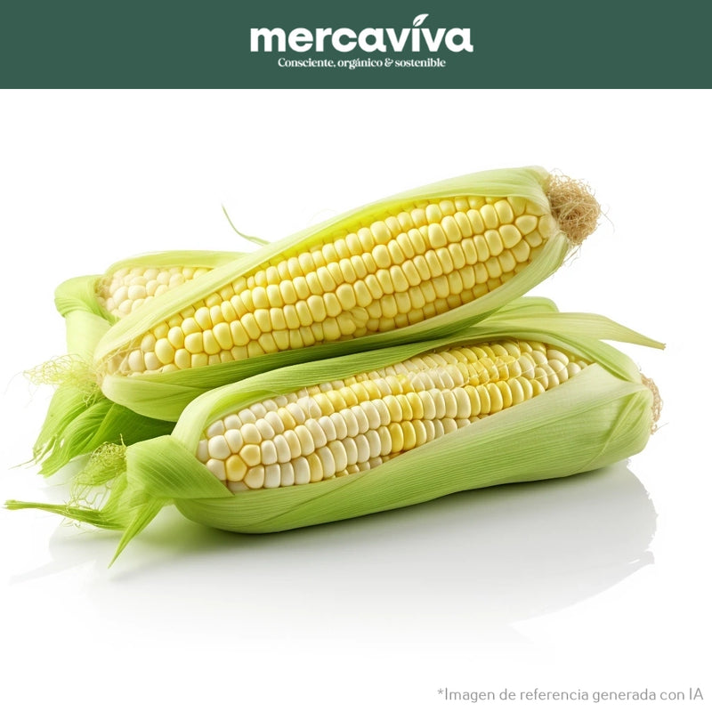 Mazorca Chócolo Blanco x 1 und-Vegetales-Merkfrutos-x und (400 gr)-Eatsy Market