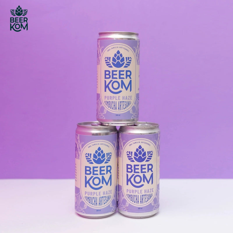 Kombucha Purple Haze x 269 ml