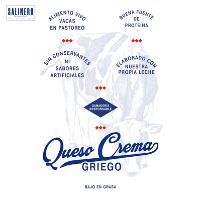 Queso Crema Griego Grande x 420 gr-Salsas-Salinero-Eatsy Market