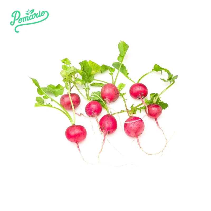 Rábano Baby x 12 und-Vegetales-Pomario-Eatsy Market