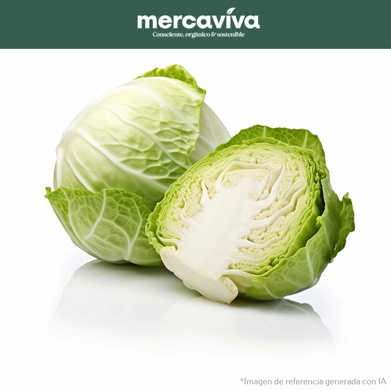 Repollo Blanco x 1 und-Vegetales-Merkfrutos-x und (Aprox 800 gr)-Eatsy Market
