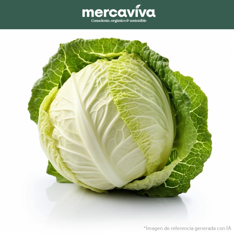Repollo Blanco x 1 und-Vegetales-Merkfrutos-x und (Aprox 800 gr)-Eatsy Market