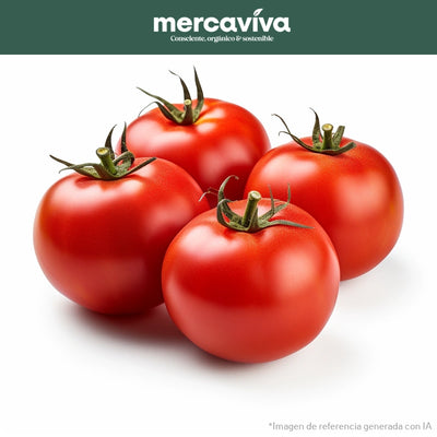 Tomate Chonto-Vegetales-Merkfrutos-x 500 gr-Eatsy Market