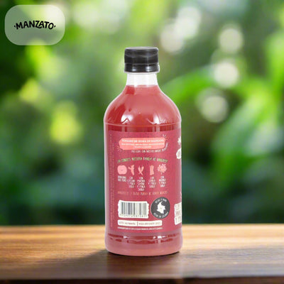 Vinagre de Manzana con Flor de Jamaica y Penca Sabila-Despensa-Manzato-x 500 ml-Eatsy Market