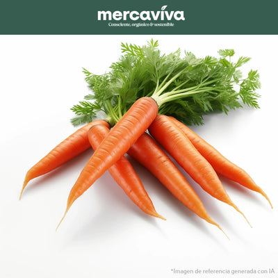 Zanahoria-Vegetales-Merkfrutos-x 500 gr-Eatsy Market