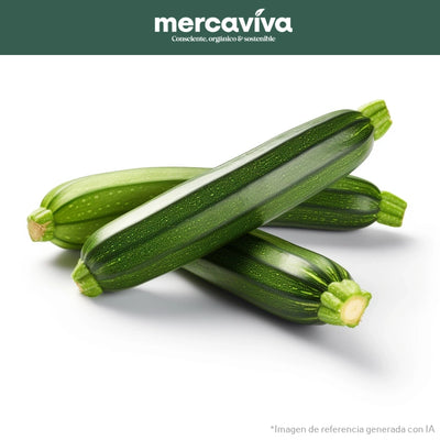 Zucchini Verde x 1 und-Vegetales-Merkfrutos-x und (Aprox 600 gr)-Eatsy Market