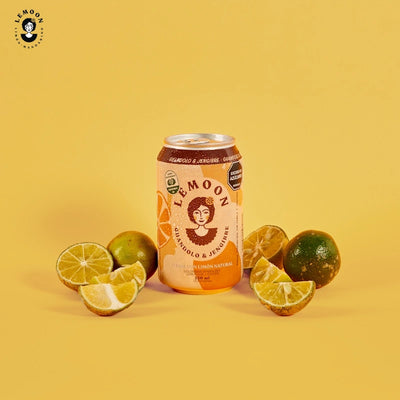 Soda de Guandolo Jengibre x 6 und de 330 ml-Bebidas-Lemoon-Eatsy Market